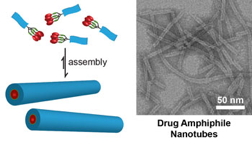 (Left) Schematic illustration of the design concept for self-assembling drug amphiphiles. The drug loading within the self-assembled nanostructures is defined by the nature of molecular design. (Right) TEM image of nanotubes formed by self-assembly of a drug amphiphile containing four camptothecin drugs. These nanotubes possess a fixed drug loading of 38% (w/w). Image from Cui Lab at Johns Hopkins University.

Credit: Cui Lab, Chemical and Biomolecular Engineering department, Johns Hopkins University