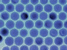 Monodisperse tin nanodroplets in an electron microscopic image.Image: Maksym Kovalenko / ETH Zrich