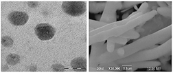 TEM Image: Pb Nanospherical   SEM Image: Rod Shape changed by Sunlight