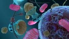 Nanobotmodels Company with Frank Boehm create image and visualization of "defuscin" nanodevice.