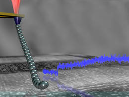 A polymer chain tied to the tip of an atomic force microscopeImage: B. Balzer/TUM