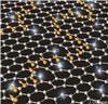 Graphene's magnetism can now be controlled Credit: James Chapman, University of Manchester 