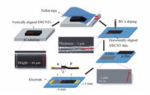 These schematic diagrams depict the fabrication process for p-n junction photodectors using flattened, highly aligned nanotube carpets.

CREDIT: X. He/Rice University