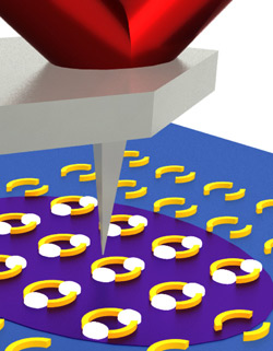 Infrared laser light (purple) from below a sample (blue) excites ring shaped nanoscale plasmonic resonator structures (gold). Hot spots (white) form in the rings' gaps. In these hot spots, infrared absorption is enhanced, allowing for more sensitive chemical recognition. A scanning AFM tip detects the expansion of the underlying material in response to absorption of infrared light.Image reproduced courtesy of NIST