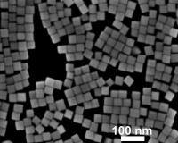 These are palladium nanocrystals.

Credit: Bardhan Laboratory