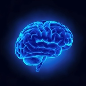 The challenge of delivering to the brain a continuous regimen of antibiotics in case of infection could be met with plastic nanofibers that release medication directly to the affected site.
Credit: iStockphoto/Thinkstock