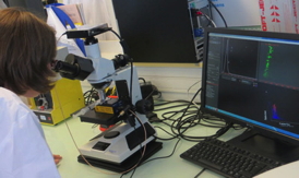 Sverine Vilain uses NanoSight's LM10 NTA system in Santen's R&D laboratory in France