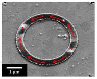 Image of a ferromagnetic ring prepared using a scanning electron microscope: The magnetization (black/white contrast) runs along the ring and forms two domain walls. 