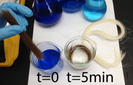 The beaker on the left contains an indigo blue dye solution prior to treatment with modified fique fibers. The beaker on the right shows the same indigo blue solution made clear, after modified fibers degraded the dye in only five minutes.