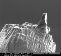 This is an electron micrograph of the micro lens on the tip of a needle. The lens has a diameter of just two microns (thousandths of a millimeter).

Credit: Image: University of Gttingen