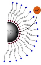 Oleylamine (red dots) and oleac acid (blue) layers serve to protect a cerium oxide nanosphere that catalyzes reactive oxygen species by absorbing them and turning them into less-harmful molecules. The finding could help treat injuries, guard against radiation-induced side effects of cancer therapy and protect astronauts from space radiation.Credit: Colvin Group/Rice University