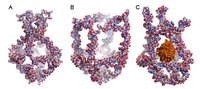 Figuren viser et nano-bur, hvor otte unikke DNA-molekyler bliver blandet sammen. Nano-buret har fire funktionelle elementer, som forandrer sig ved ndringer i omgivelsernes temperatur. Disse forandringer enten lukker (1A) eller bner (1B) nano-buret. Ved at udnytte temperaturforandringer i omgivelserne har forskerne dermed fanget et aktivt enzym kaldet horseradish peroxidase (HRP) inde i nano-buret (1C)Figur: Sissel Juul