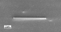 TUM researchers have demonstrated that semiconductor nanowires like the one shown here can act both as lasers, generating coherent pulses of light, and as waveguides, similar to optical fibers. Because these nanowire lasers emit light at technologically useful wavelengths, can be grown on silicon substrates, and operate at room temperature, they have potential for applications in computing, communications, and sensing.

Credit: WSI/TUM
