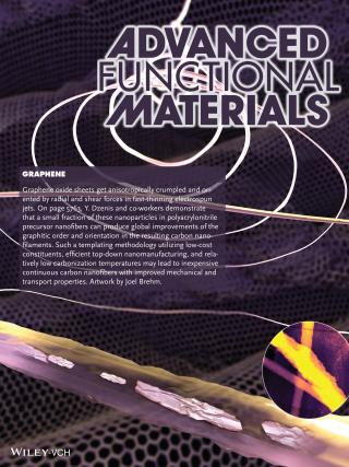 An illustration of the UNL team's research is featured in one of the frontispieces of the Dec. 10 issue of Advanced Functional Materials. 