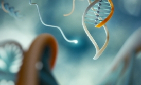 Artists rendering of the discovery: the research team took advantage of the ability of certain DNA sequences to form a triple helix, in order to develop a DNA clamp. This nanometer-scale clamp recognizes and binds DNA sequences more strongly and more specifically, allowing the development of more effective diagnostic. Professor Alexis Valle-Blisle, Department of Chemistry, Universit de Montral worked with the researcher Andrea Idili and Professor Francesco Ricci of the University of Rome Tor Vergata, and Professor Kevin W. Plaxco, University of California Santa Barbara, to develop this diagnostic nanomachine.
Credit: Marco Tripodi