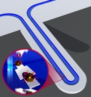 The illustration shows a suspended nanochannel resonator (SNR), which can directly measure the mass of individual nanoparticles with single-attogram precision. The inset shows a depiction from inside the embedded fluidic channel, while a DNA-origami gold nanoparticle assembly is passing through the resonator.
Image courtesy of Selim Olcum and Nate Cermak