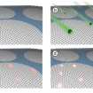  The MIT researchers used a four-step process to create filters from graphene (shown here): (a) a one-atom-thick sheet of graphene is placed on a supporting structure; (b) the graphene is bombarded with gallium ions; (c) wherever the gallium ions strike the graphene, they create defects in its structure; and (d) when etched with an oxidizing solution, each of those defects grows into a hole in the graphene sheet. The longer the material stays in the oxidizing bath, the larger the holes get.
Image courtesy of the researchers 