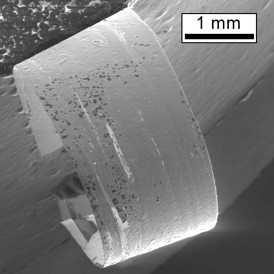 A piece of metallic glass that has been bent around onto itself with a 1mm radius and glued into place. It would spring back to a flat piece if the glue were removed. Photo, Los Alamos National Laboratory.