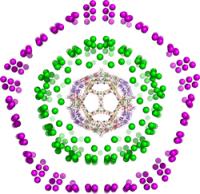 This image shows a virus nested within fullerene cages called carbon onions.

Credit: Dechant et al.