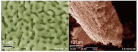 Nanoporous graphene on nanoporous Ni (left) and Nanoporous graphene after dissolving the nanoporous Ni substrate.