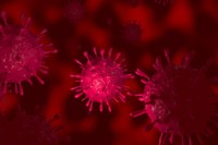 "Essentially, we have created a nano test tube out of an HIV virion, inside of which protein interactions can be studied," says co-author Jelle Hendrix. Photo: Shutterstock 