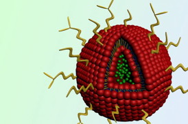 The nanoparticle contains the cancer drug doxorubicin (green spheres) in its core. Erlotinib is embedded in the red outer shell. Attached to the surface are chains of polyethylene glycol (PEG), in yellow.

Image: Stephen Morton