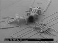 This SEM (scanning electron microscope) image shows the nanoinjector next to a latex bead the same size as an egg cell. You can see the size of the nanoinjector and its lance compared to a cell.

Credit: Brian Jensen/BYU