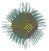 This image shows the calculated atomic structure of a 5nm diameter nanocrystal passivated with oleate and hydroxyl ligands.

Credit: Image courtesy of Berkeley Lab
