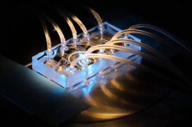 This image shows an example of a rigid epoxy microfluidic device, similar to those used for the new high-throughput system, on an optical microscope.

Image: John Friedah