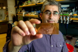 Brian Feldman is one of the inventors of a microchip-based test for diagnosing type-1 diabetes.Norbert von der Groeben