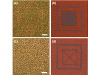 Mesoporous silicon nanowires were scanned by a focused laser beam in two different patterns, imaged by bright-field optical microscope, as depicted by (a) and (c), as well as fluorescence microscopy, as depicted by (b) and (d). Evidently, the images hidden in boxes shown in (a) and (c) are clearly revealed under fluorescence microscopy.

Credit: National University of Singapore