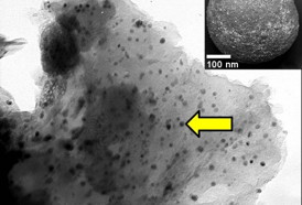 A transmission electron microscopy image of carbon spherules from the Younger Dryas Boundary 30 cm below the surface in Gainey, Michigan.
