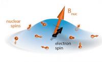The electron spin (black arrow) inside a quantum dot interacts magnetically with the effective magnetic field (orange arrow) of the nuclei of the atoms forming the atomic environment of the electron.

Credit: Cavendish Lab