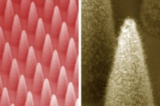 At left is a dense array of electrospray emitters (1,900 emitters in 1 centimeter square). At right is a close-up of a single emitter, covered by a forest of carbon nanotubes.

Image: Journal of Micrelectromechanical Systems/colorized by MIT News