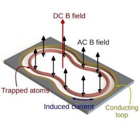 Shaped atom-chip microtrap comprised of a conducting loop (gold) in which currents are induced in the same way as a transformer. 