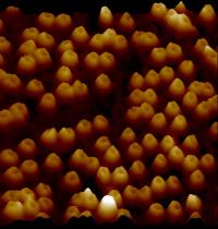 These are nuclear pores imaged by atomic force microscopy, appearing as a craterlike landscape in which each crater corresponds to a pore of ~100 nm diameter.

Credit: UCL