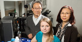 Photo by L. Brian Stauffer
Illinois professor Kyekyoon Kevin Kim, graduate student Elizabeth Joachim and research scientist Hyungsoo Choi developed tiny gelatin nanoparticles that can carry medication to the brain, which could lead to longer treatment windows for stroke patients.