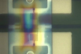 One of the researchers' new photon detectors, deposited athwart a light channel  or "waveguide" (horizontal black band)  on a silicon optical chip.

Image courtesy of Nature Communications