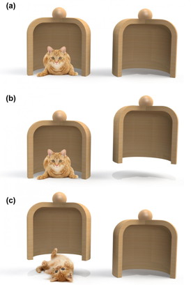 The Bonn team has developed a measurement scheme that indirectly measures the position of an atom. In essence, one looks where the cesium atom is not. The image clarifies this procedure. Let us assume that two containers are in front of us and a cat is hidden under one of them (a). However, we do not know under which one. We tentatively lift the right jar (b) and we find it empty. We, thus, conclude that the cat must be in the left jar and yet we have not disturbed it. Had we have lifted the left jar instead, we would have disturbed the cat (c), and the measurement must be discarded. In the macro-realist's world, this measurement scheme would have absolutely no influence on the cat's state, which remains undisturbed all the time. In the quantum world, however, a negative measurement that reveals the cat's position, like in (b), is already sufficient to destroy the quantum superposition and to influence the result of the experiment. The Bonn physicists have exactly observed this effect.
CREDIT: Andrea Alberti / www.warrenphotographic.co.uk