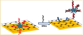Image: Detection of DNA hybridization with the help of graphene.