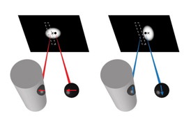 This is an illustration of the interference between light from the quantum dot (black sphere) and radiation from the mirror dipole (black sphere on the wire). This interference will slightly distort the perceived location of the diffraction spot as imaged on a black screen at the top. The distortion is different depending on whether the quantum dot dipole is oriented perpendicular (red) or parallel (blue) to the wire surface, a difference that can be visualized by imaging the diffraction spot along different polarizations.
CREDIT: Ropp
