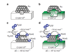 Ab initio simulations of N2 interaction with the Ru/C12A7 catalysts. Character of the charge redistribution between C12A7 substrate and deposited Ru clusters is shown for the stoichiometric (a) and the electride (b) C12A7. (c,d) Adsorption energies of N2 on C12A7-supported Ru, charge transfer in the process of N2 dissociation (N2(g)+ Ru → 2N(ad) +Ru) and the corresponding energy gain (ΔE). In Ru/C12A7:O2 system (c), N2 and N accept electron charge from the Ru cluster, making it positively charged. In Ru/C12A7:e (d), the electron charge is transferred from the substrate, leaving the Ru cluster nearly neutral. N2(g), N2(ad) and N(ad) represent N2 in gas phase, adsorbed N2, and adsorbed nitrogen atom, respectively.