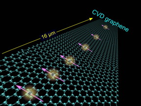 In graphene, electrons keep their magnetization, their spin (the pink arrows in the picture) much longer than they do in ordinary conductors such as copper and aluminum. This characteristic of graphene may enable spintronics to become a complement to traditional electronics, which only utilizes one of the electrons degrees of freedom, namely their charge.
CREDIT: M Venkata Kamalakar et al, Nature Communications