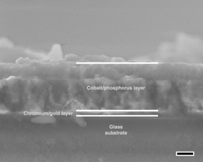 A side view of a porous cobalt phosphide/phosphate thin film was created at Rice University. The robust film could replace expensive metals like platinum in water-electrolysis devices that produce hydrogen and oxygen for fuel cells. The scale bar equals 500 nanometers.
CREDIT:Tour Group/Rice University