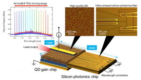 The novel heterogeneous wavelength tunable laser diode consists of QD technology and silicon photonics.
CREDIT: Tomohiro Kita
