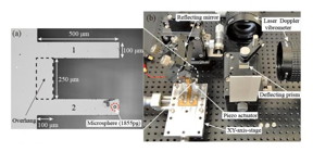 Coupled microcantilevers are placed on the XY-axis-stage and moved by the piezoelectric actuator according to the proposed feedback control to produce self-excited oscillation.
CREDIT: Yabuno Lab./University of Tsukuba