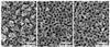 Electron micrographs of nanoporous gold materials that were fabricated using different sizes of micelles. Pore size increases from left to right.