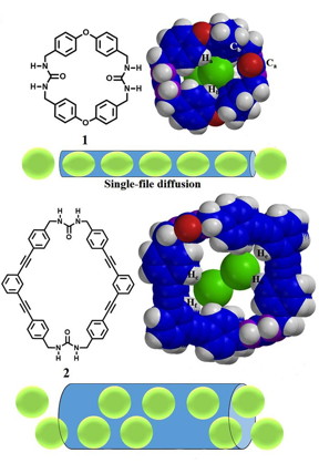 The building blocks that make up Shimizu's 'molecular straws' are cyclic organic compounds, which self-assemble into hollow tubes. The smaller ring (compound labeled 1; top) self-assembles into straws with narrow-bore interiors that can accommodate xenon atoms only in single file.
CREDIT: Adapted from ACS Nano
