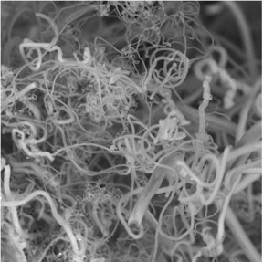 Researchers are generating carbon nanofibers (above) from CO2, removing a greenhouse gas from the air to make products.
CREDIT: Stuart Licht, Ph.D.