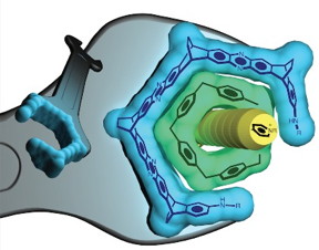 A blue wrench (of molecules) to adjust a green bolt (a pillarene ring) that binds a yellow chemical guest. Its a new tool  just 1.7 nanometers wide  that could help scientists catalyze and create a host of useful new materials. Image courtesy of Severin Schneebeli
